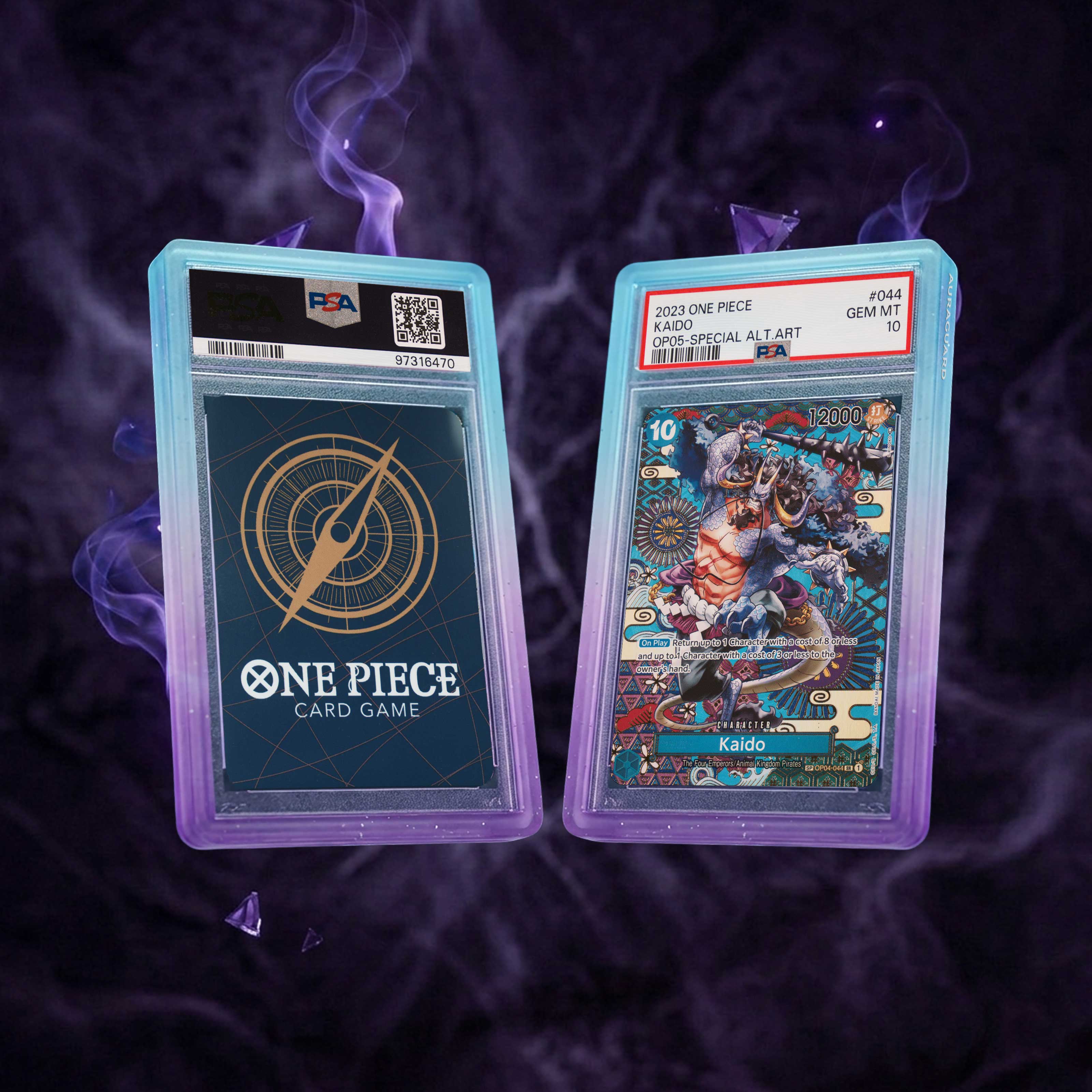 PSA Bumper Guard (Fusion)